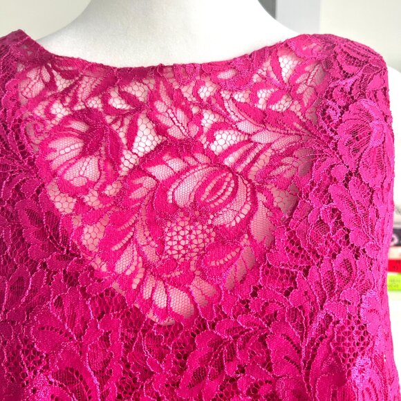 Theia Pink Lace Dress - Picture 5 of 6